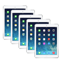 Multiple iPads